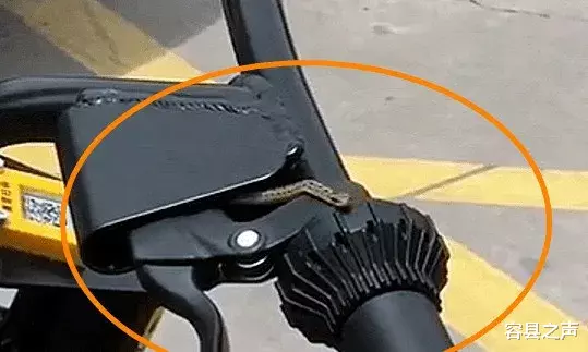 容县之声|广西这里共享单车里有蛇出没？刹车缝隙中探出头来