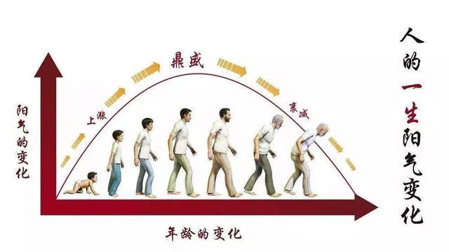 补肾@什么是阳气，养阳气最简单有效的方法是什么？