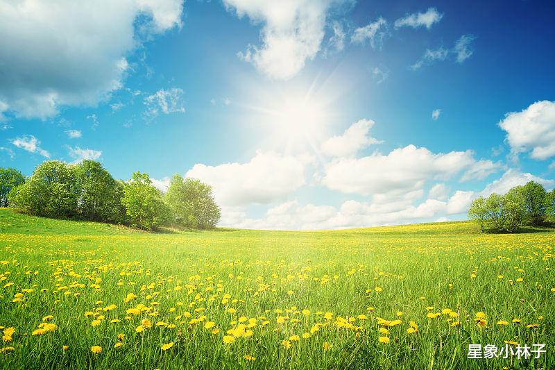 天蝎座|10月末11月初, 不忘初心, 念念不忘, 4星座旧情复燃, 再次牵手