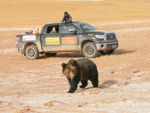 可可西里自然保护区|独自去可可西里无人区究竟有多可怕，这里最大的威胁是什么？