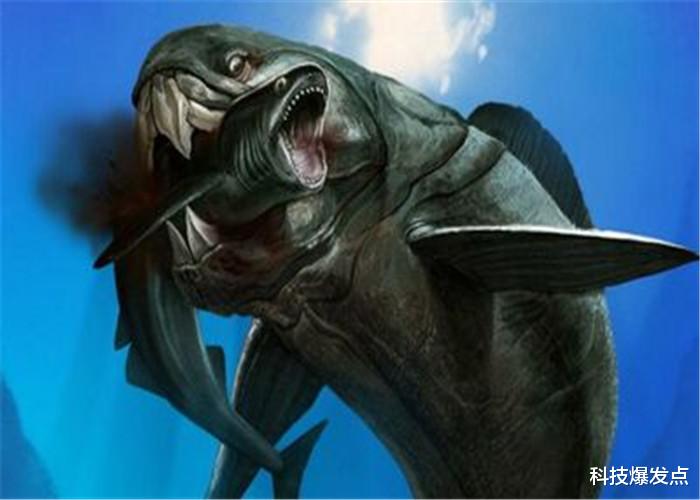 【科学家】没有牙齿的神秘生物,进食只能用骨头咬,饿极了连同类都吃!