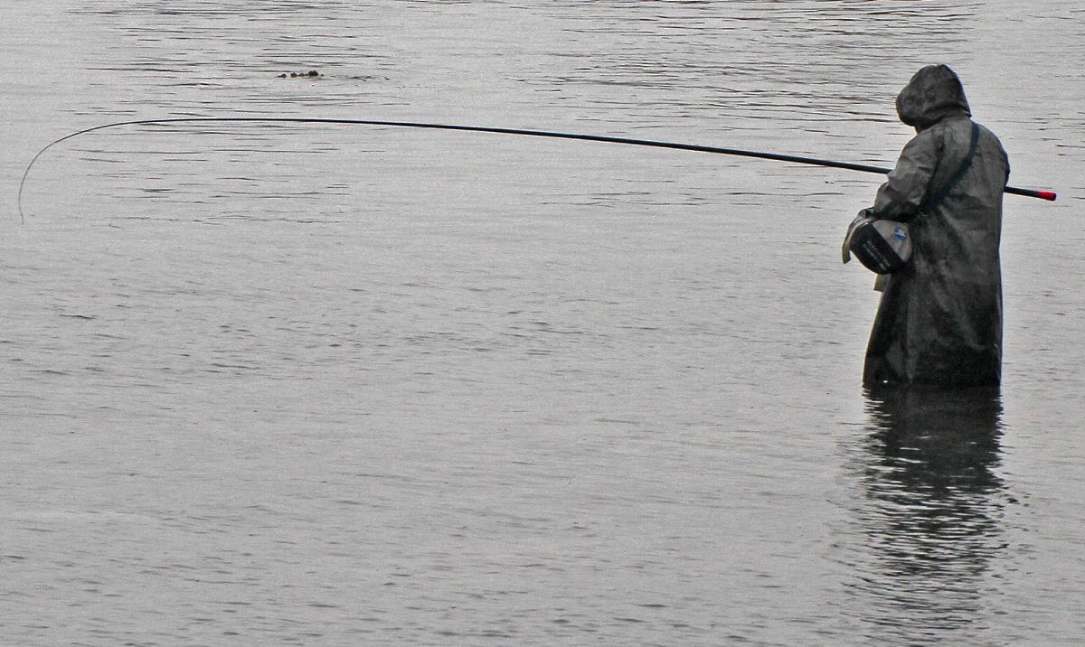 「焦作」焦作博爱县2单位发布公告，严禁公园内采挖竹笋或钓鱼捕虾