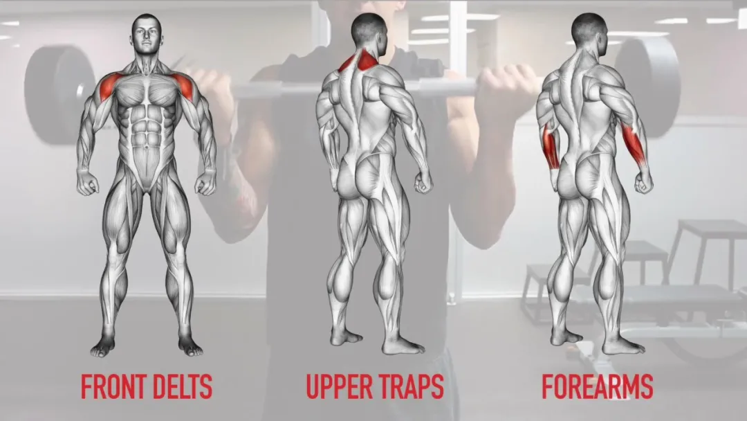 【三角肌】手臂练不粗,这几个方法让二头暴涨