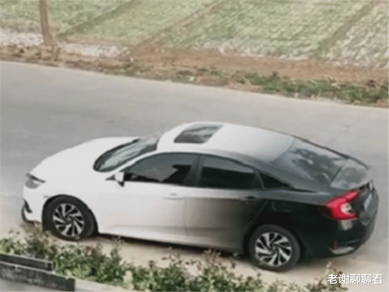 本田思域|农村偶遇“渐变色”本田思域，气质堪比百万超跑，车主：这就叫鹤立鸡群！