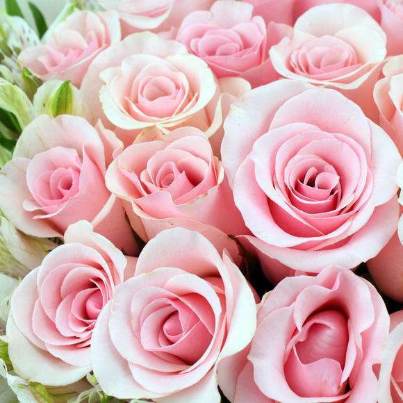 生肖：懂得享受生活的三个生肖女，每天过得充实快乐，年纪越大越有福气