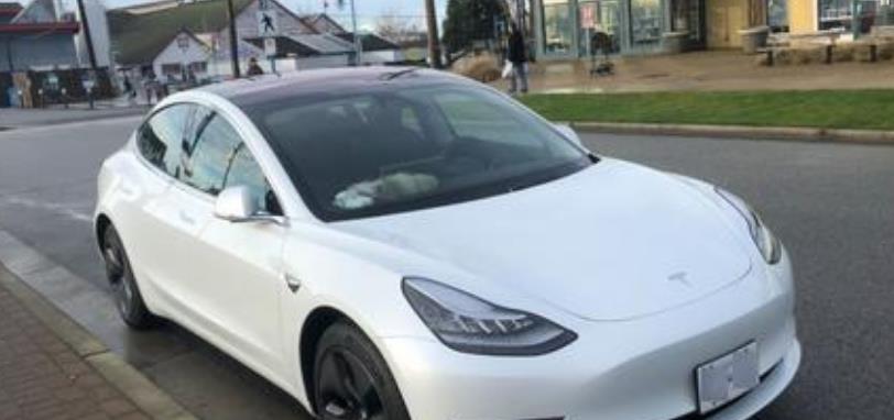 雪佛兰科帕奇|开了7个月特斯拉model3,我有5点要吐槽的?想买的人可以看看