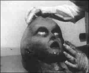 科学家|传说中的外星小灰人真相揭秘