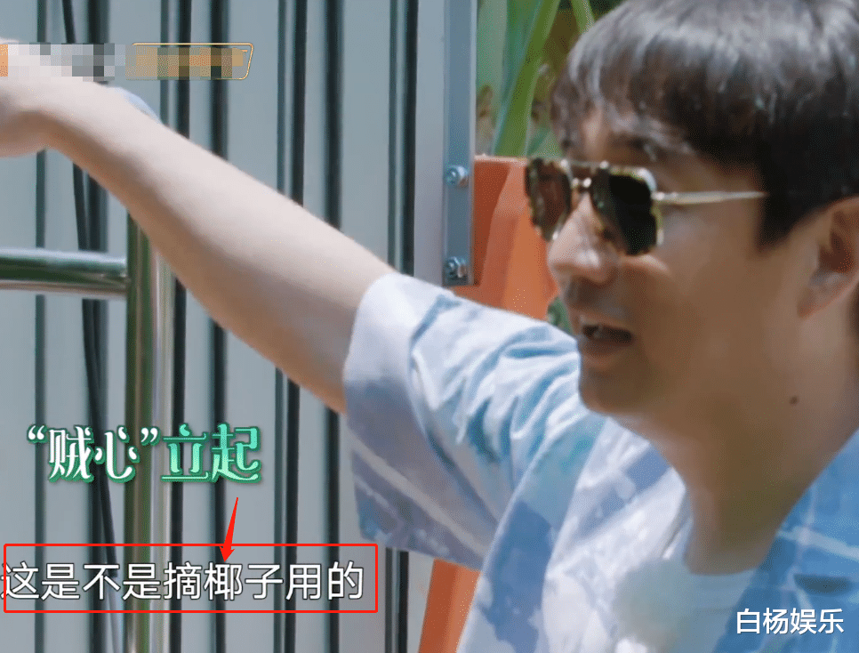 「黄磊」黄磊发现摘椰子神器，节目组都慌了！得知工具实际用途：用心良苦