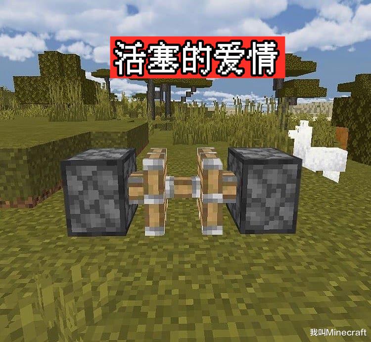 我的世界|我的世界：9张在非常巧合之下，玩家拍下mc存在“爱情”的证据！