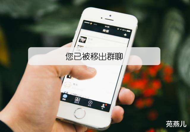 「离职」员工离职后被领导踢出群，不是领导无情，而是他的做法实在太气人