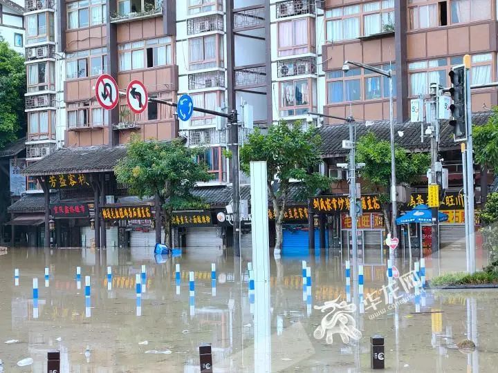 重庆|现场直击！40年来最大洪水过境重庆，主城多地被淹