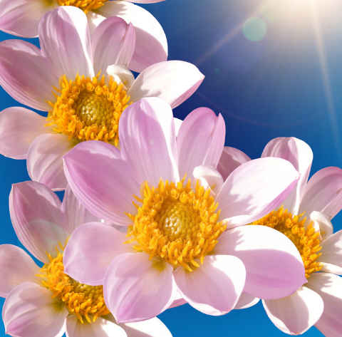 「天蝎座」进入4月下旬,4属相吉星照耀,步入人生上上签,财运连旺