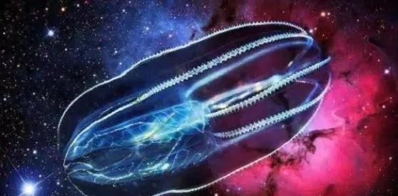 「」宇宙早已进化出意识，奈何人类身处维度过低，听不懂它的语言