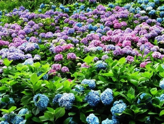 生肖|到了10月，好运连连，4属相吉星伴身，财运旺盛，日子乐滋滋