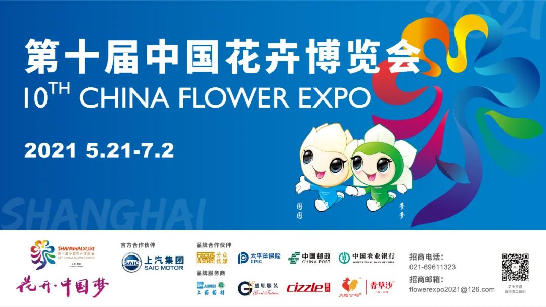微信|手机权限能不能随便给？哪些短消息是真实的？……这篇微信带你了解