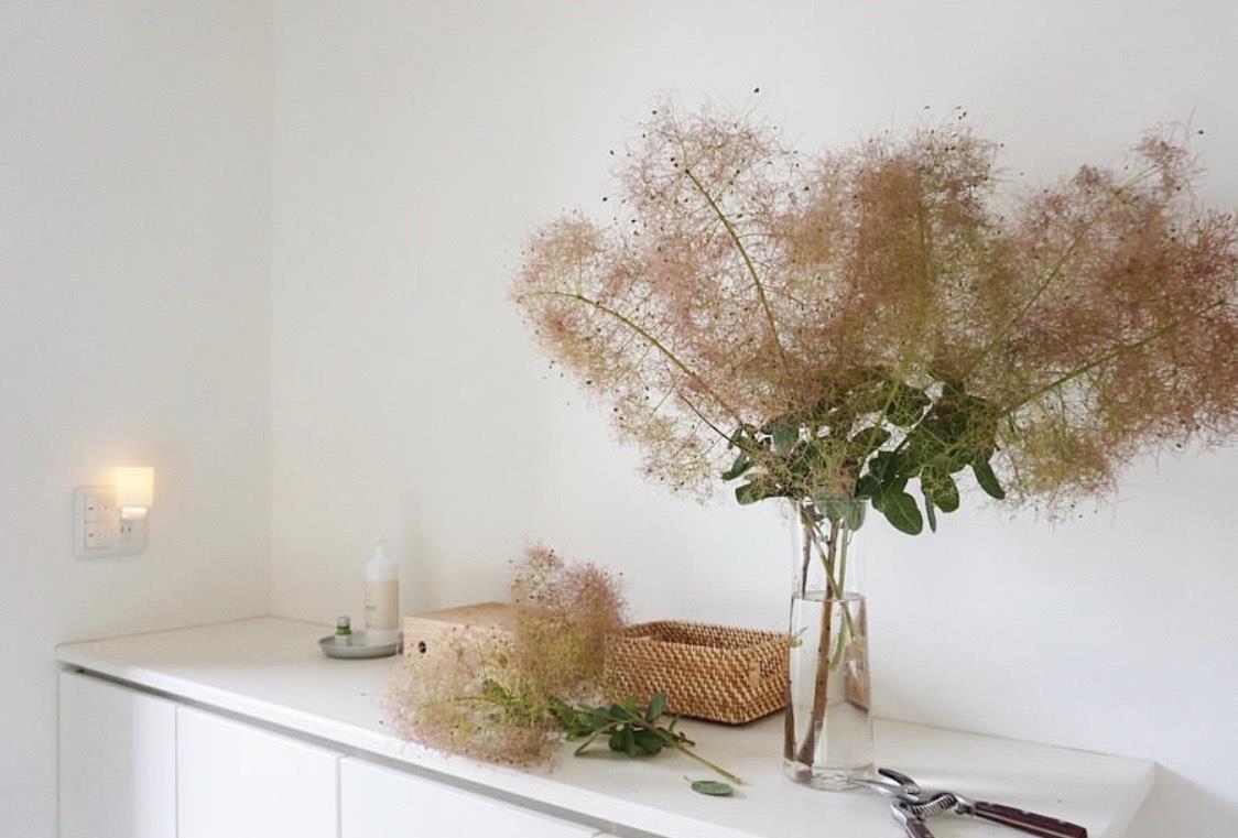 ##看完她家，只想赶紧回去收拾我的家！全屋干净整洁到令人羡慕，赞