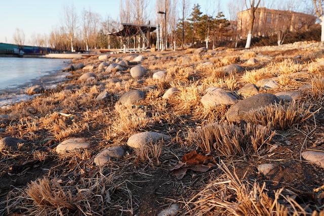 米家|相机是如何消亡的？从每一次手机拍照变强开始