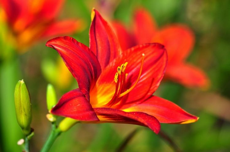 运势|下周运势上吉,3生肖财源滚滚,事业上升,收入翻倍,金玉满堂