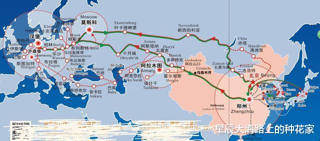 黑猩猩|苏联科学家找来5名女性，和公黑猩猩进行后代实验，结果悲剧了！