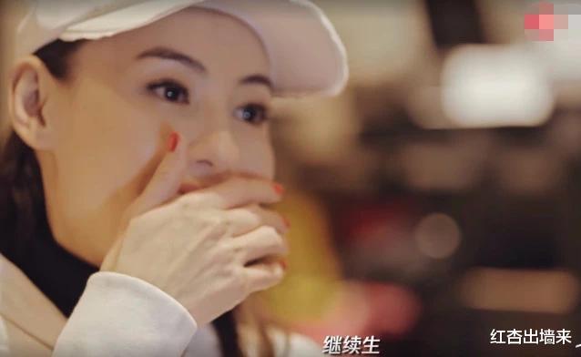 张柏芝|不再隐瞒？张柏芝爆料为何备孕四胎，网友：原来都是谢霆锋惹的祸