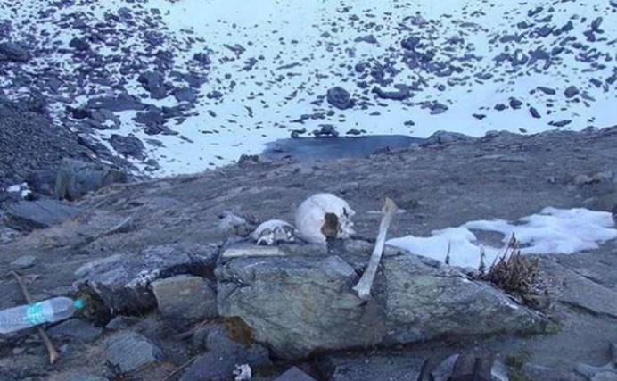 科学家|喜马拉雅山又出事了？科学家实地考察，眼前的一幕让人难以置信