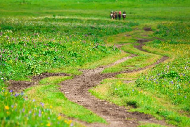 『涠洲岛』越到夏天，越是不能去的9个国内旅行地！