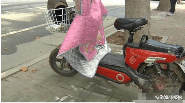 安徽海豚播报|女生逆行出事故，汽车车主自认全责不追究，3年后女生被起诉