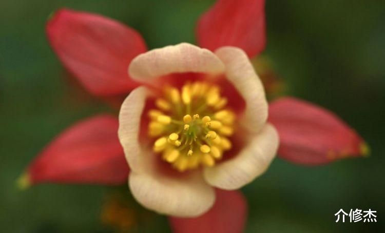 射手座|9月下旬，桃花新开，千里姻缘一线牵，将再次携手前任的四大星座