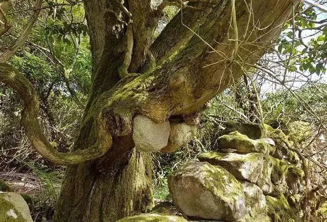 []时间的力量到底有多可怕？