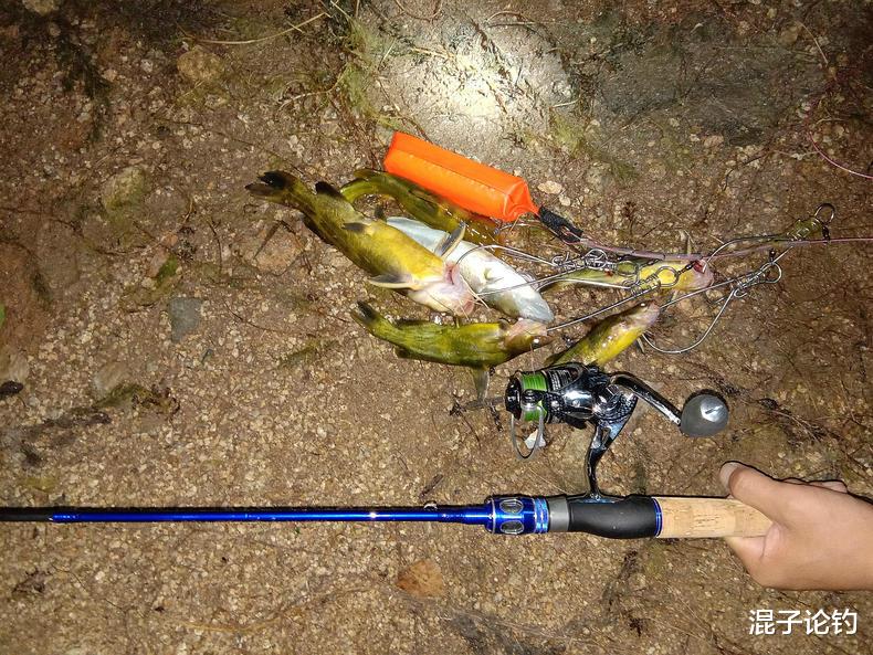 『』钓黄颡鱼其实超简单，做好这四点，轻松钓一盆