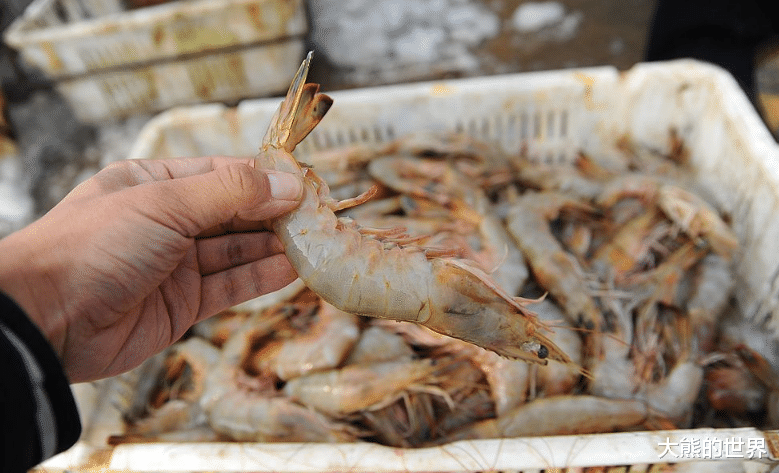 |保存大虾,不能直接冻冰箱!老渔民教你3招,1年不坏,和鲜虾一样