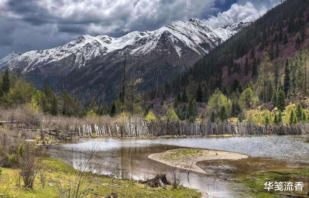 毒蛇|民间说法:凡毒蛇出没之处,7步之内必有解药。是否有科学依据