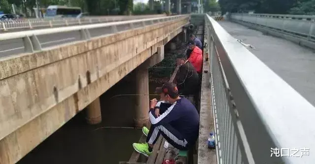 沌口▲危险！沌口三角湖附近有居民翻桥“玩命”垂钓...