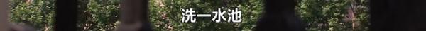 上海市|上海一母亲再婚后，把8岁女儿当\女保姆\使唤！亲生父亲知道后…
