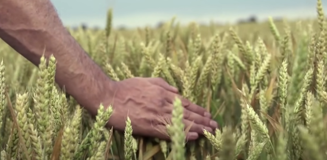 电影|世界是虚拟的有力佐证,时空错乱还是记忆重置,谁偷走了我们的记忆