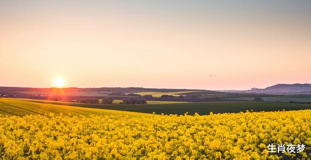 不负如来不负卿@5月，旧爱心动，心有涟漪，3生肖真情复合，余生不负如来不负卿