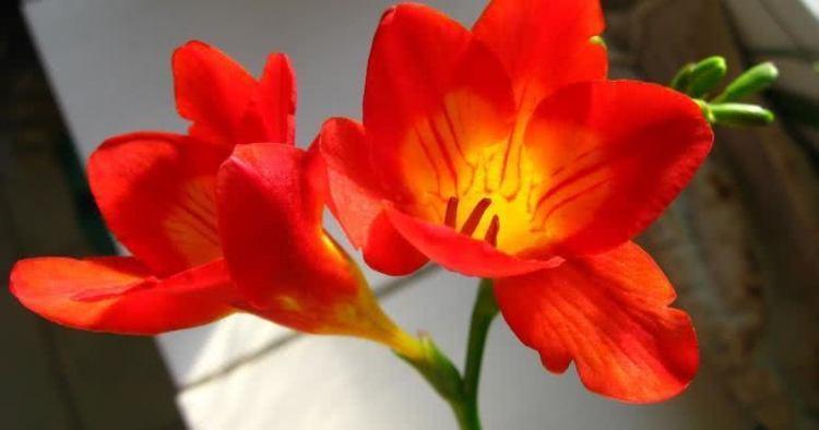 双鱼座|9月下旬开始多财多福，有贵人支持，万事不求人的4大生肖