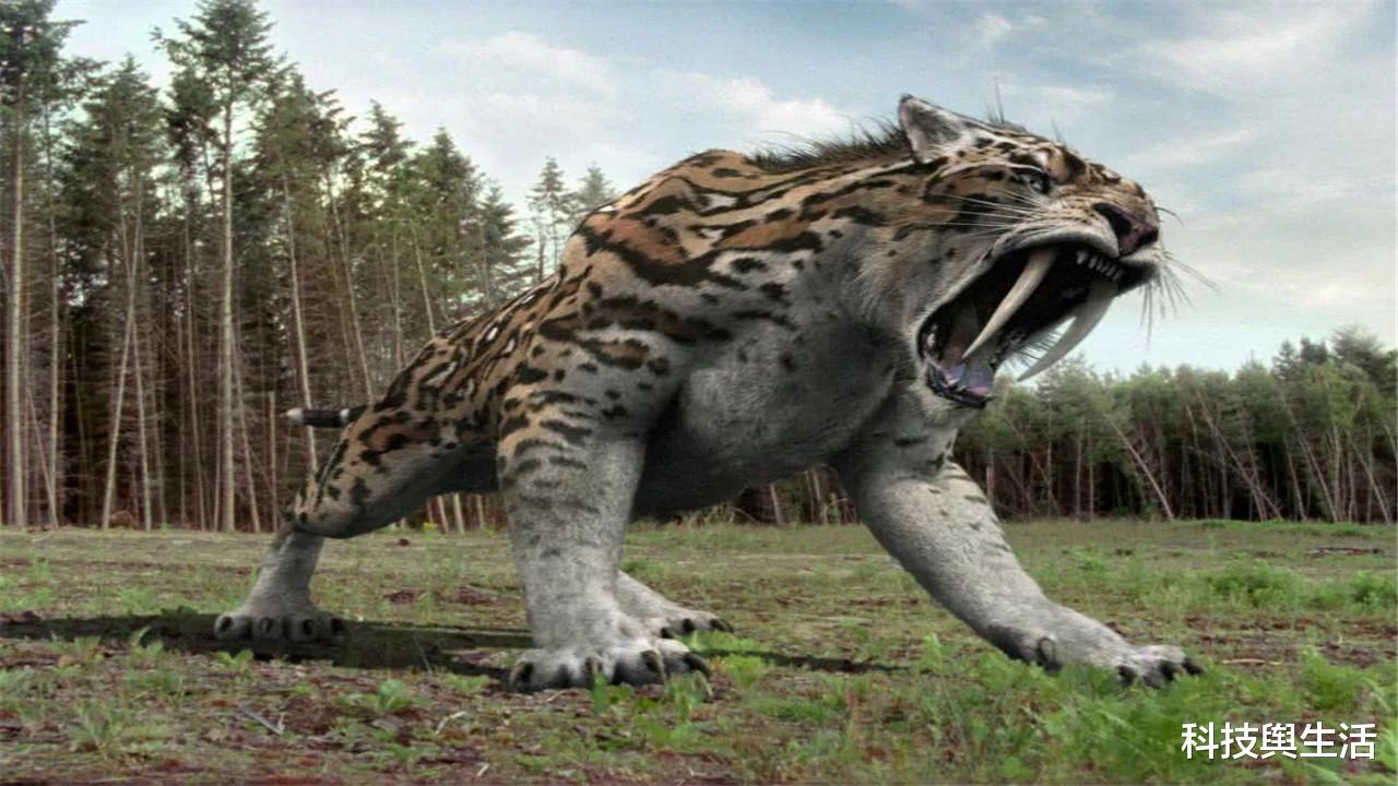 南方古猿|人类是唯一没有天敌的生物？我们都被骗了，它差点吃光人类祖先！