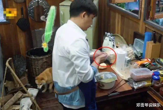 『黄磊』《向往的生活》舒适假象被曝光，黄磊厨房如炼钢炉，孙莉劝他退出