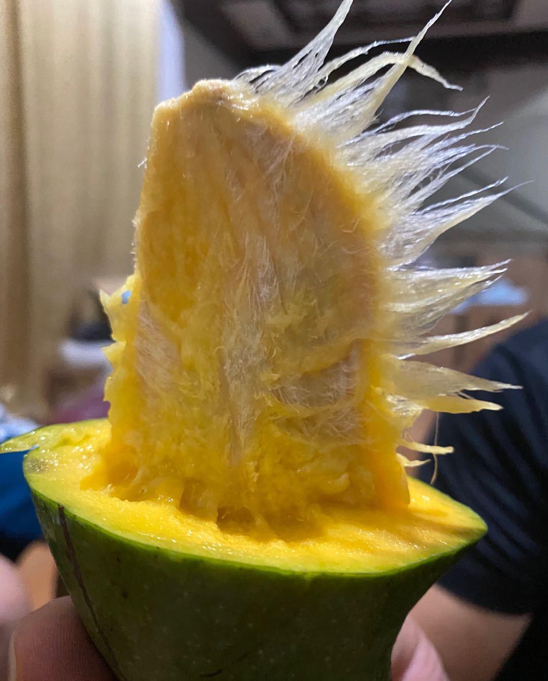 电子商务|为何说是电商和直播卖货把桂七芒果盘活了呢？