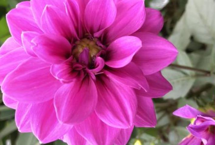 |10月上旬，横财加身，顺字当头，收入暴涨的生肖