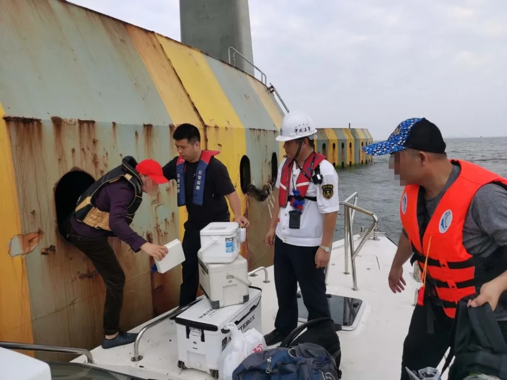 港珠澳大桥|港珠澳大桥上钓鱼？钓鱼佬的沙雕，你根本想象不到