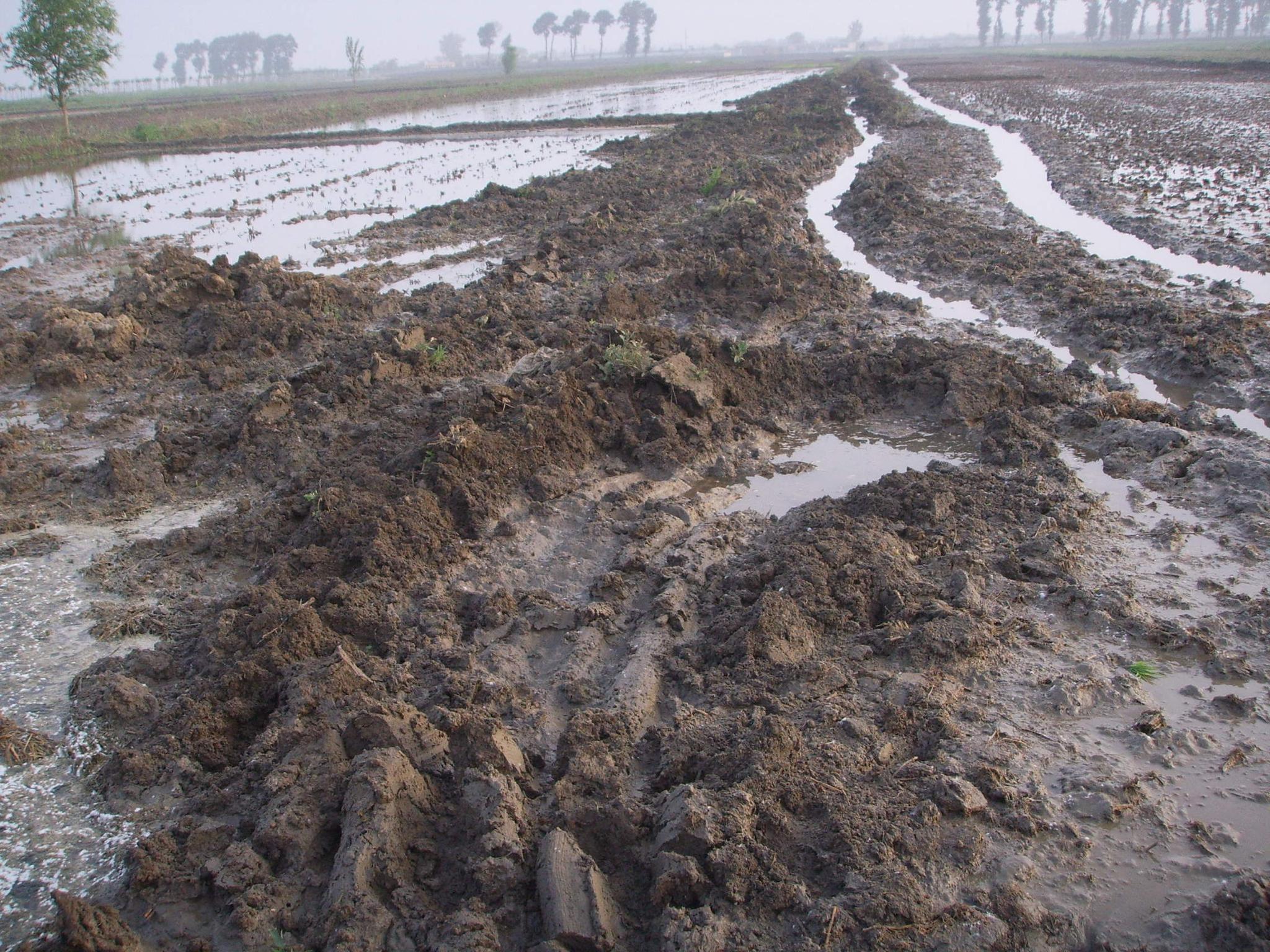 大话三农八卦 农村土地要收回整治?这些问题农民要注意,三类土地会收回!