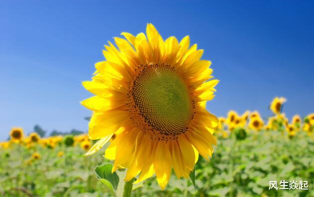 大盘指数■下周行情展望，大盘指数重编能带来多大影响？