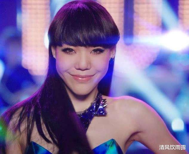 张磊:好声音8位冠军,真正走红只有她,2名季亚军反而成为好声音门面!
