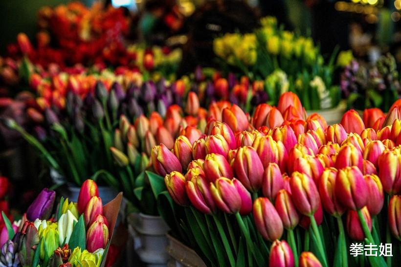 【生肖】最近一周,容易获得财神青睐3生肖,贵人相助,有望心想事成