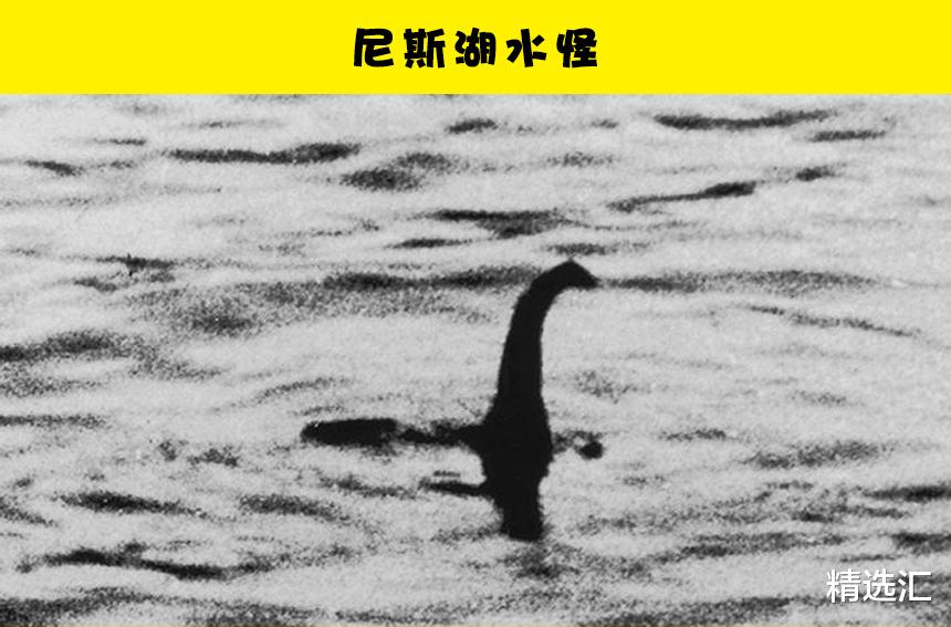 机器▲揭秘：在历史上，欺骗了成千上万人的10个骗局