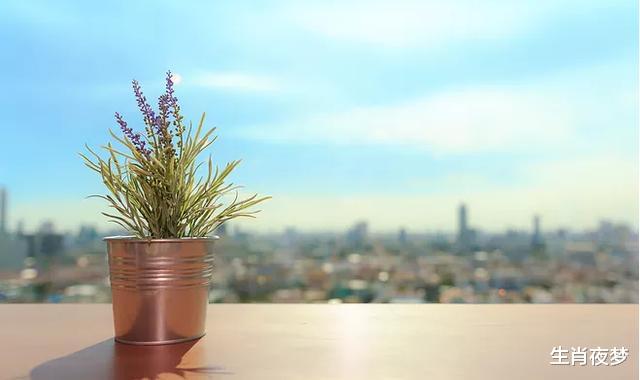 旧爱|9月，良缘再现，旧爱回归，3星座把握机会，再续前缘，幸福一生