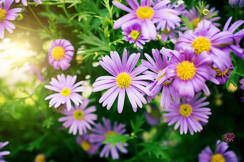 【生肖】端午节过后，霉运转大运，3生肖被财神爷盯上，来喜又来财