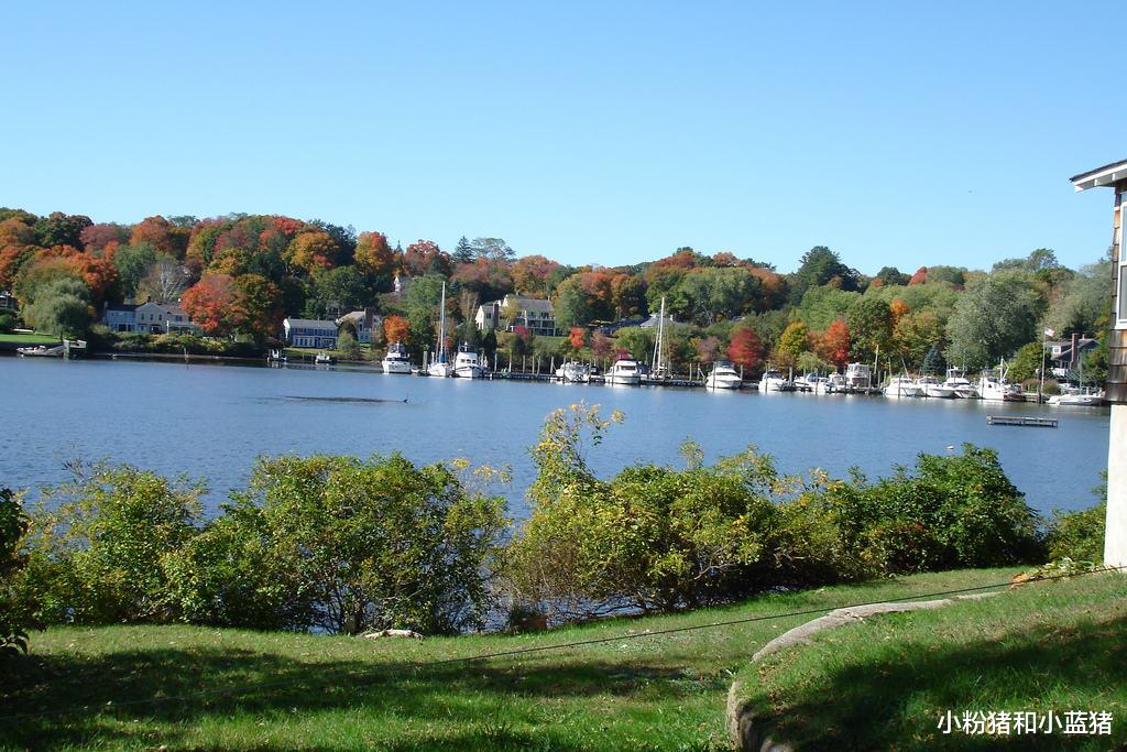 GDP|2020年各国GDP预测:美国20.1万亿美元,欧洲16.7万亿,我国呢?